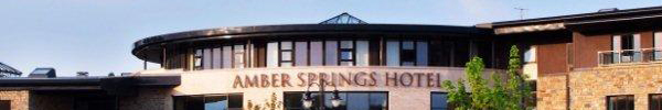 Amber Springs Hotel Gorey